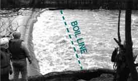 boilline
