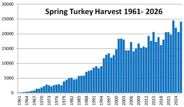 1961-2026 의 봄철 칠면조 수확량 막대 그래프는 시간이 지남에 따라 일반적으로 수확량이 증가하는 추세를 보여 주며, 해마다 약간의 변동성이 있습니다. 2026 의 수확량은 역대 최고치를 기록한 2023 을 제외하고는 이전 10년보다 높았습니다.