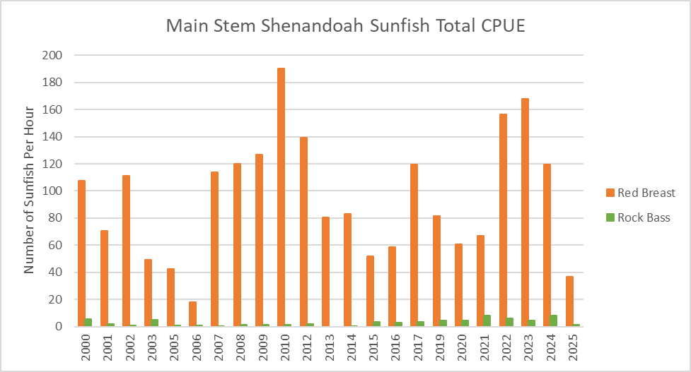 주 줄기 Shenandoah 강 개복치 어획량을 단위 연도별 막대형 차트예요.