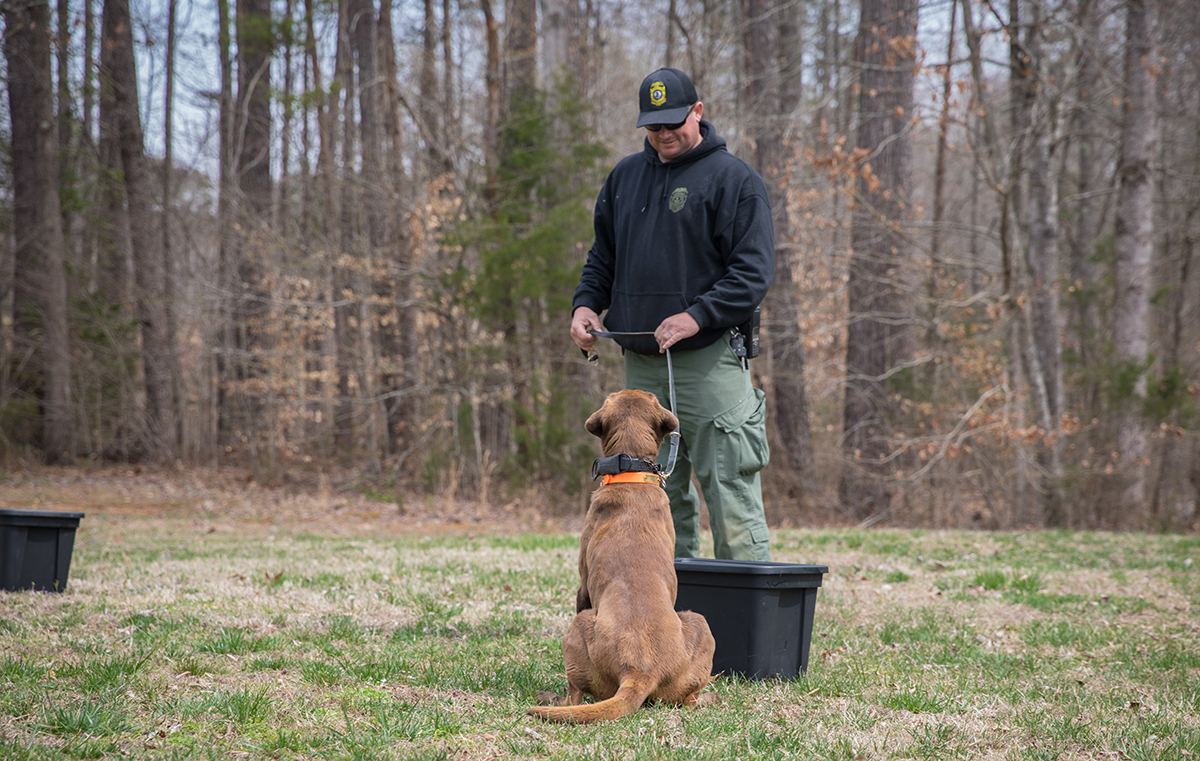 K9 Reese가 컨테이너에서 야생동물 고기를 발견했다고 담당자인 CPO Ian Ostlund에게 알리기 위해 앉아 있습니다.