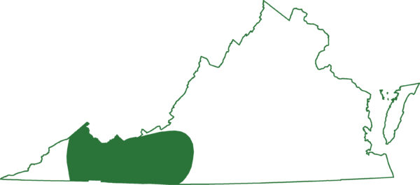 블루릿지 더스키 도롱뇽 범위 지도