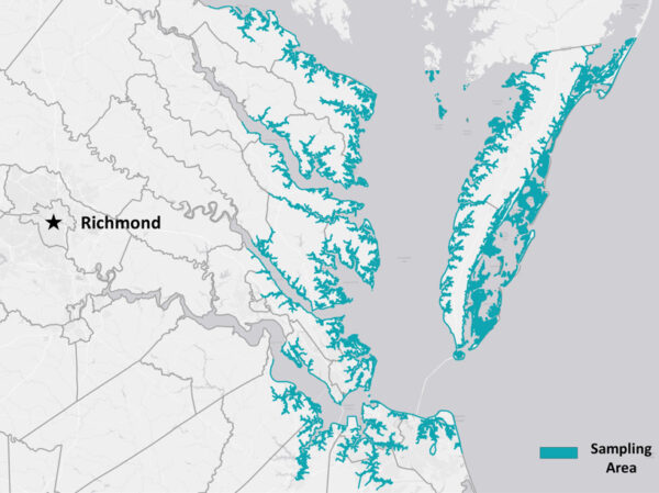 다이아몬드백 대시 샘플링이 진행될 Virginia 지역(주로 Chesapeake만과 대서양 인근 해안 지역)을 표시한 지도