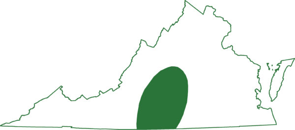 두더지 도롱뇽은 버지니아의 가장 중심부에 있는 피에몬테 지역에서 발견됩니다.