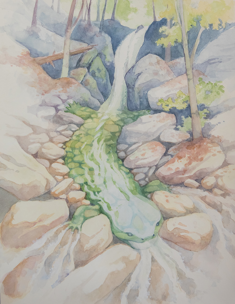 예술적 표현 부문에서 수상한 헬벤더의 수채화 그림