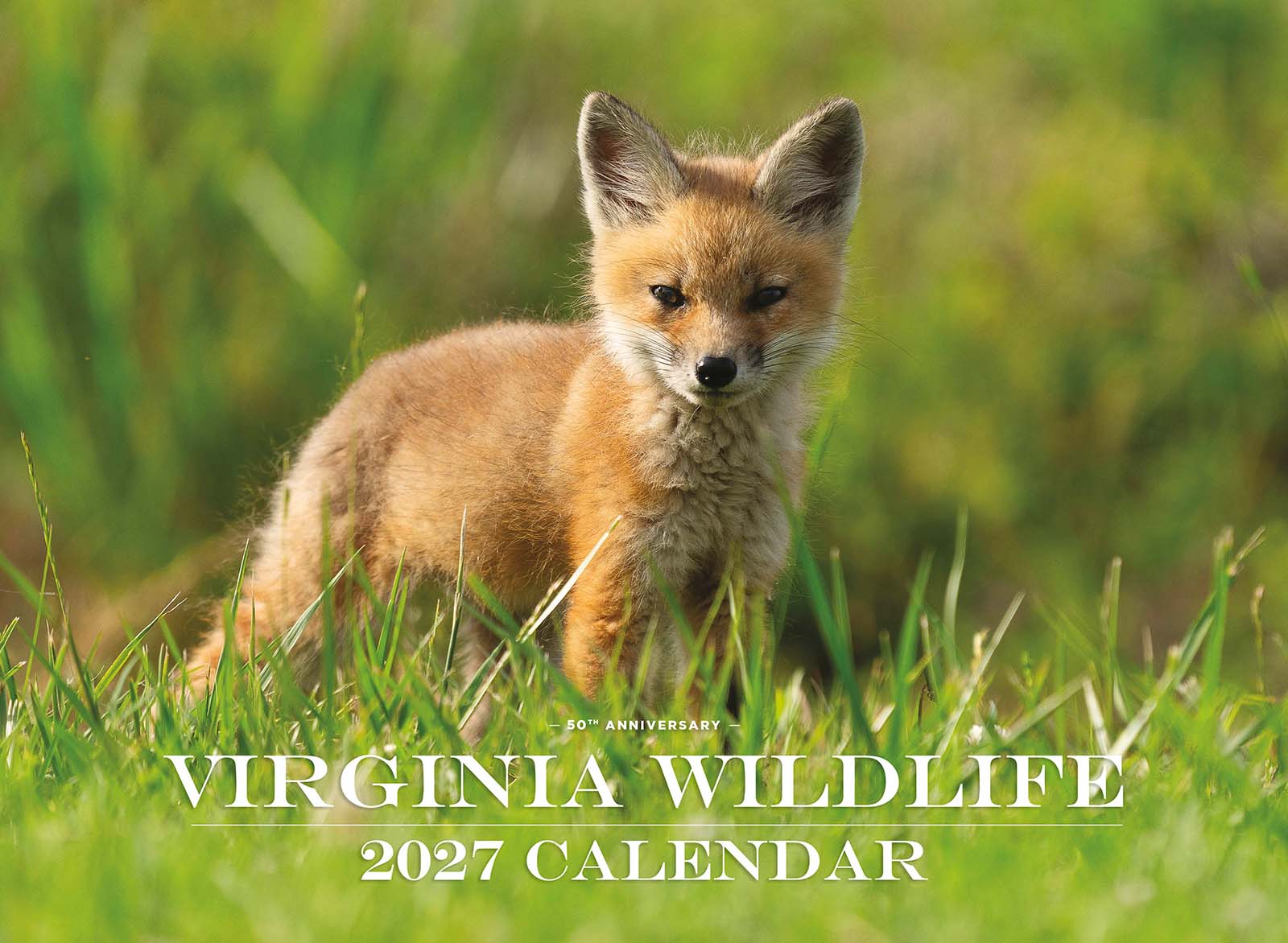 여우 새끼가 등장하는 2027 Virginia Wildlife 달력 표지.