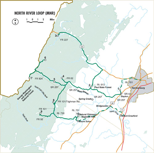 VBWT Loop: MNR