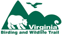 vbwt-logo